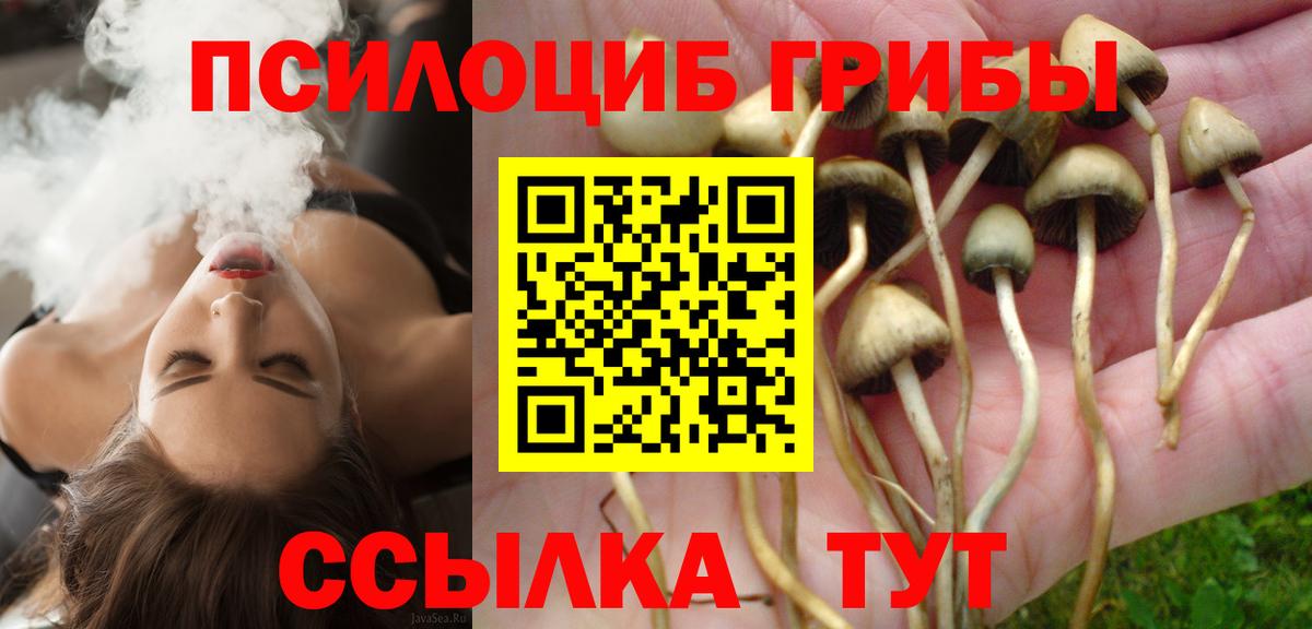 Галлюциногенные грибы Magic Shrooms Елизово