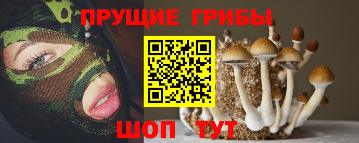 ГАШ  Елизово  КОКАИН  Alpha-PVP СК   Купить закладку  ГАШ  Меф МЯУ МЯУ кристаллы  Вход с VPN 