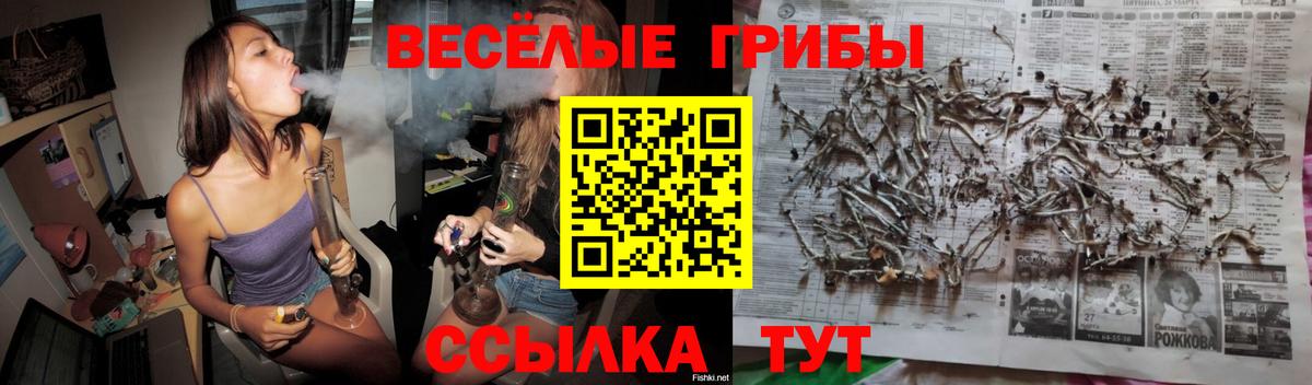 Елизово  Псилоцибиновые грибы мухоморы  Галлюциногенные грибы прущие грибы  Вход с VPN 